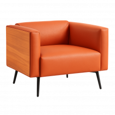 MOCA TEKLİ KANEPE  MOCA TEKLİ KANEPE